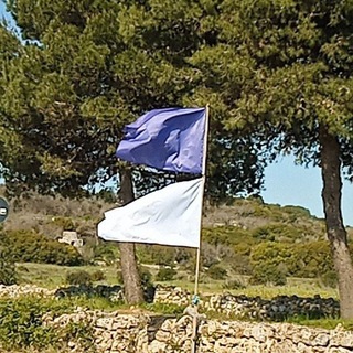 Логотип @soluzionilibertarie - Soluzioni Libertarie