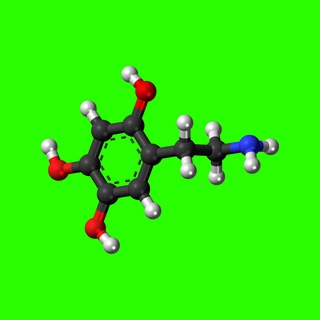 Логотип @somatipshadrin - Центр Типологии || Шадрин К.А.