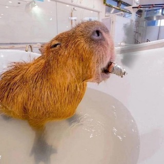 Логотип @son_of_god322 - Котятки и Ребятки/Moscow lifestyle