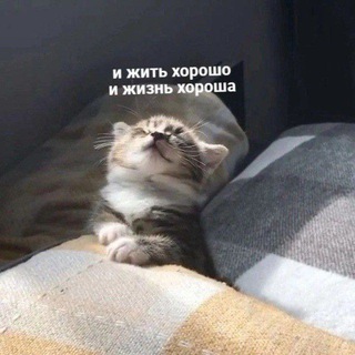 Логотип @sonch_tg - Сонч