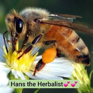 Логотип @sonnengartenorganics - sonnengartenOrganics