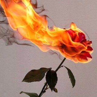 Логотип @sonvosne - С О Н