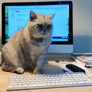 Логотип @sonya_v_memah - Влаштовуємо хіхоз посеред псіхозу| #УкрТґ