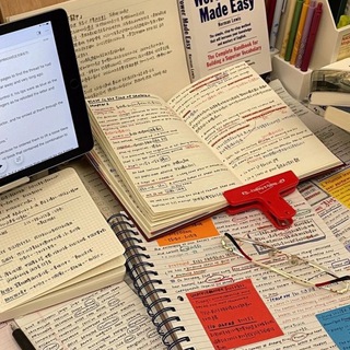 Логотип @sonyachtotopishet - Sonya vs study