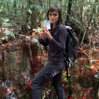 Логотип @sonyaofthejungle - Sonya of the jungle