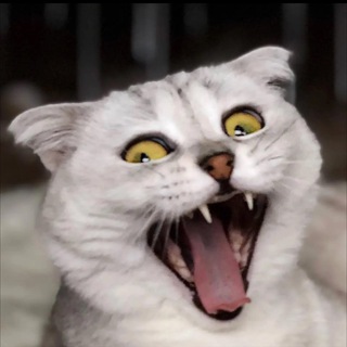 Логотип @sonyatiktok8 - Sonyakisa8