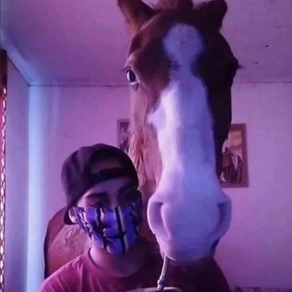 Логотип @sophole9927 - The Sop Hole