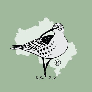 Логотип @sopr_mo_obl - СОПР Московская область