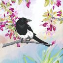 Логотип @Soroka_belaya - Сорока-белобока