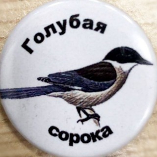 Логотип @soroka_photo - Soroka_photo ЧАТ 🤪