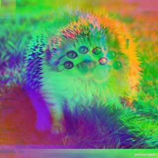 Логотип @sorokaplu - Сорока Плюшкина︎