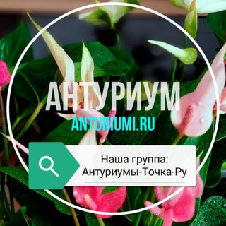 Логотип @sorta_anthuriuma - Антуриум - Сорта
