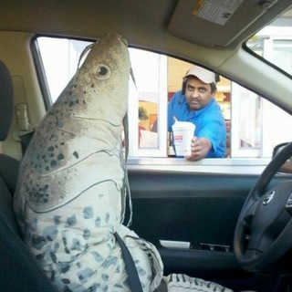 Логотип @sosiski - 🏝 average zeitgeist enjoyer