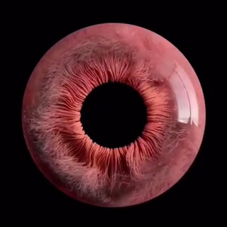 Логотип @sosisonder - Sonder