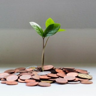 Логотип @soskanal123 - 🔥Сторис для всех🔥