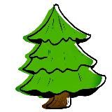 Сосна в подарок