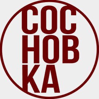 Логотип @sosnovka_interior - Институт СосновКа: Дизайн интерьера