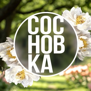 Логотип @sosnovkanew - Путь к мечте через ландшафт | Сосновка
