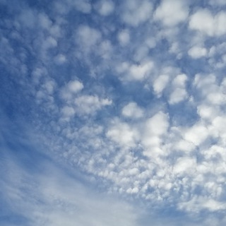 Логотип @sotrex8 - Sprüche, Aphorismen und Gedankentreibgut