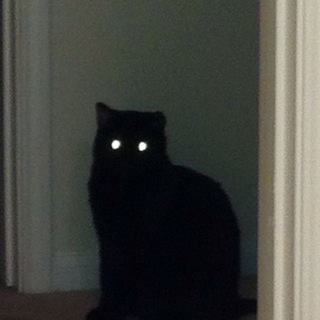 Логотип @souja - souja