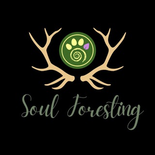 Логотип @soulforesting - La Radura di Soul Foresting 🌿