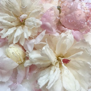 Логотип @soulfulvisual - Секреты стильного ВИЗУАЛА