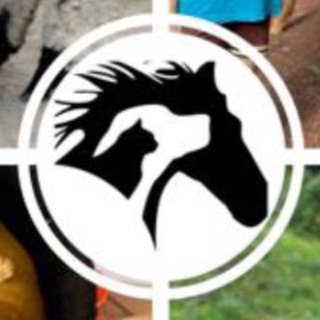 Логотип @soulhorsegoa - Приют для лошадей Гоа, Арамболь