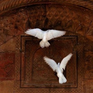 Логотип @soull24 - 𝑀𝑦 𝑆𝑜𝑢𝑙🕊