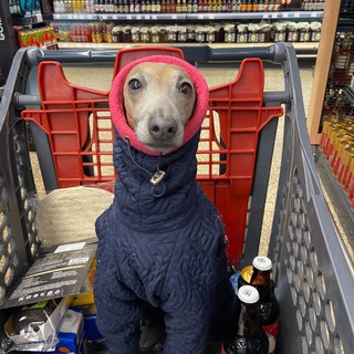 Логотип @soull808 - soul8