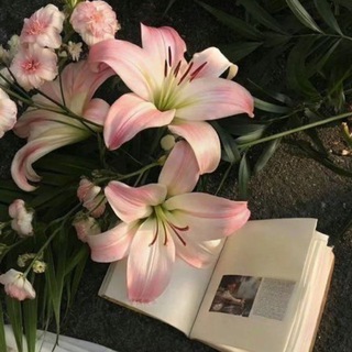 Логотип @soullllv - уголок души 🍵