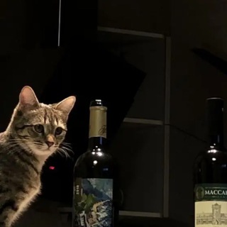 Логотип @soulmusic16 - 🤍Soul🤍