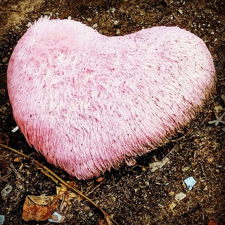 Логотип @soulplace - soulplace