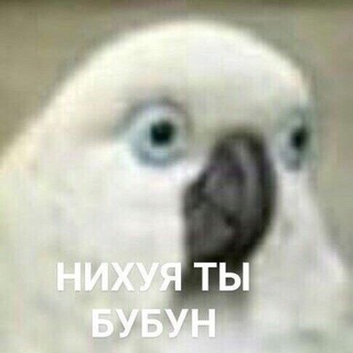 Логотип @soulxprincess - ПАЛЯНИЦЯ!!!