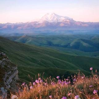 Логотип @south_dreams - ЮЖНЫЕ СНЫ