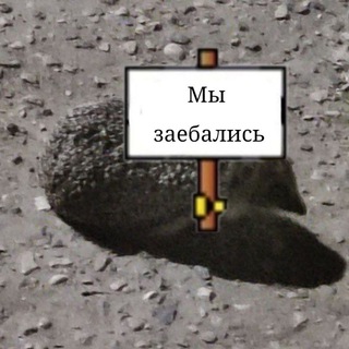Логотип @southern_federal_district_pvl - •ЮФО• [пвл]