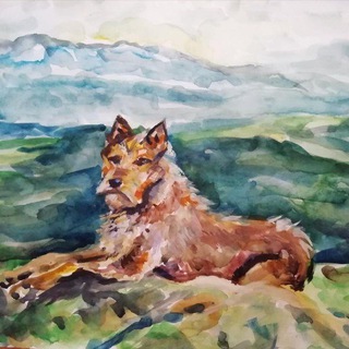 Логотип @southern_urals_duke - Южный Урал глазами Дюка