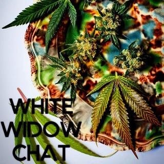 Логотип @southmarijuana - 🤪WNITE WIDOW CHAT🤪