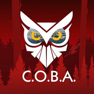 Логотип @sova_anapa - С.О.В.А | С Обществом Вместе - Анапа