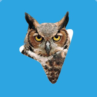 Логотип @sovapharma - SOVA Pharma Weekly Digest🦉