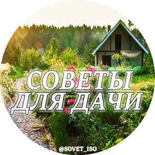Логотип @sovet_iso - 🏘 Советы для дачи