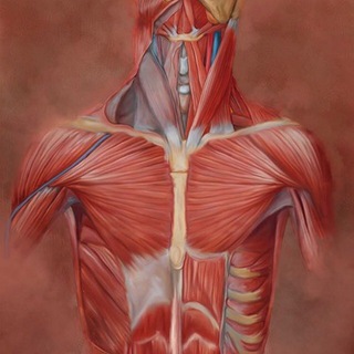 Логотип @sovet_zd - ИНТЕРЕС