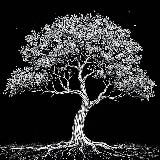 Логотип @sovetnikrazuma - Искры мысли