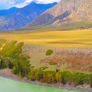 Логотип @sovetpoperemenemest - Забавные животные и красивая природа