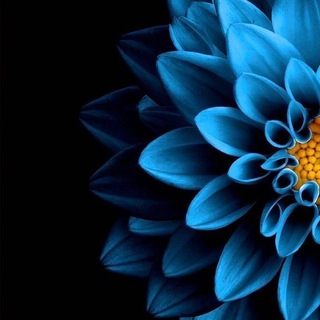 Логотип @sovetsky_plakat - Обои на телефон | FULL HD+