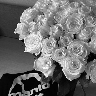 Логотип @sovetsquad - Sovet