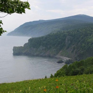 Логотип @sovgavan - СОВГАВАНЬ.РФ