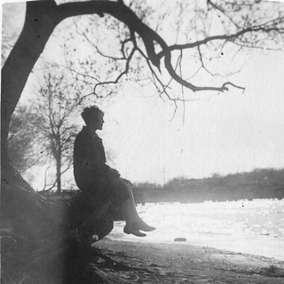 Логотип @soviettree - Дерево, Я