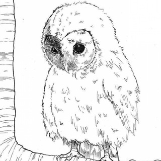 Логотип @sovyonok_owlet - Совёнок