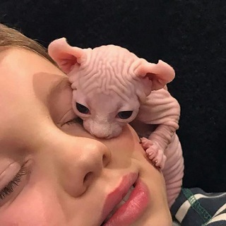 Логотип @soxranifo_chat - сохры ЧАТ