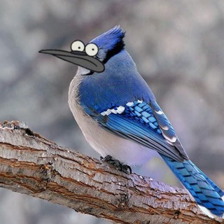 Логотип @soykameme - Сойчин крінж 🇺🇦